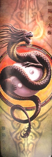 Yin Yang Black Dragon