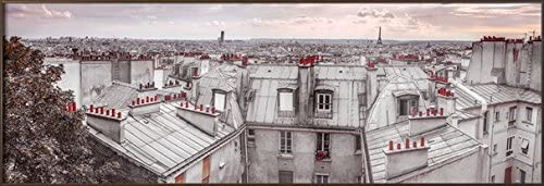 Paris Rooftops