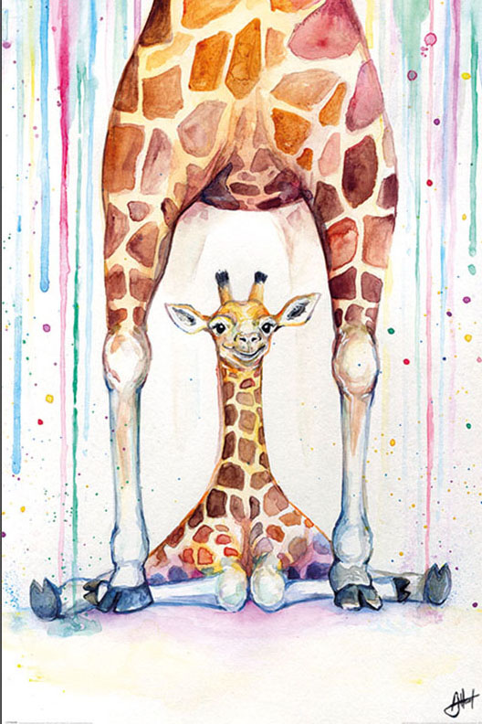 Marc Allante Gorgeous Giraffes