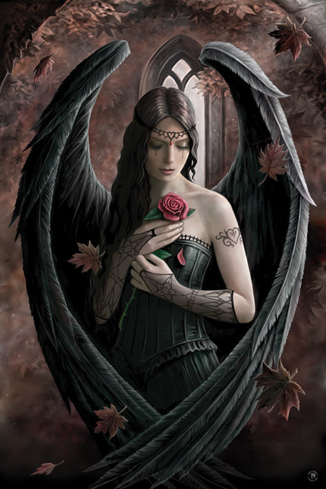 Anne Stokes Angel Rose
