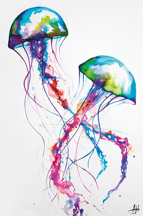 Marc Allante Jellyfish