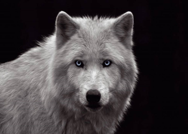 White Wolf 2
