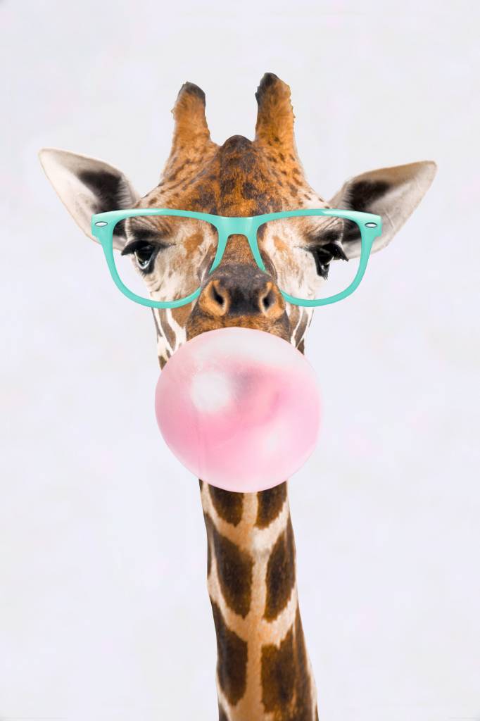 Bubblegum Giraffe