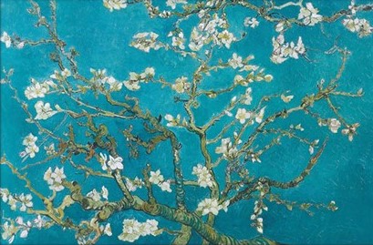 Almond Blossom