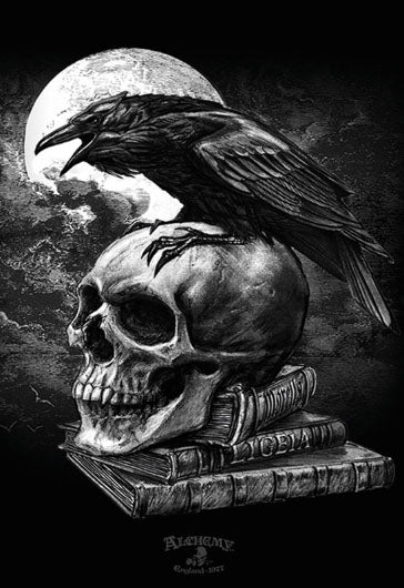 Crow on Skull