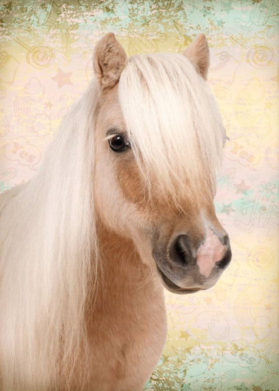 Beautiful Horse