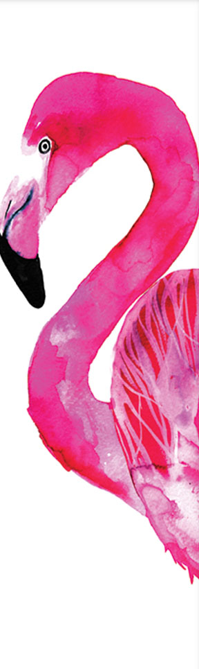 Pink Flamingo