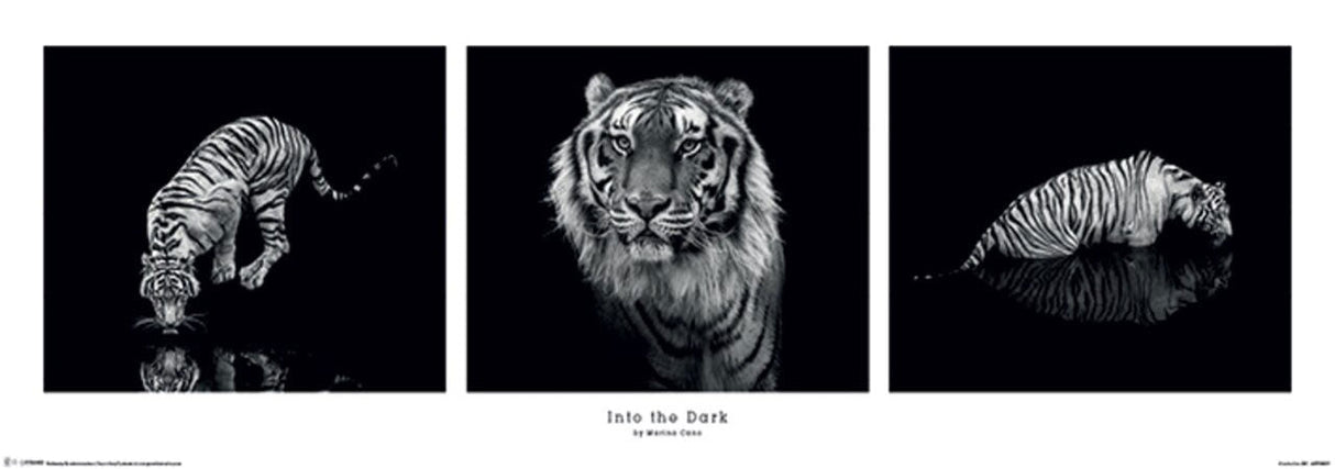 Into The Dark Tiger