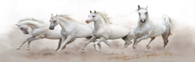 White Horses Running