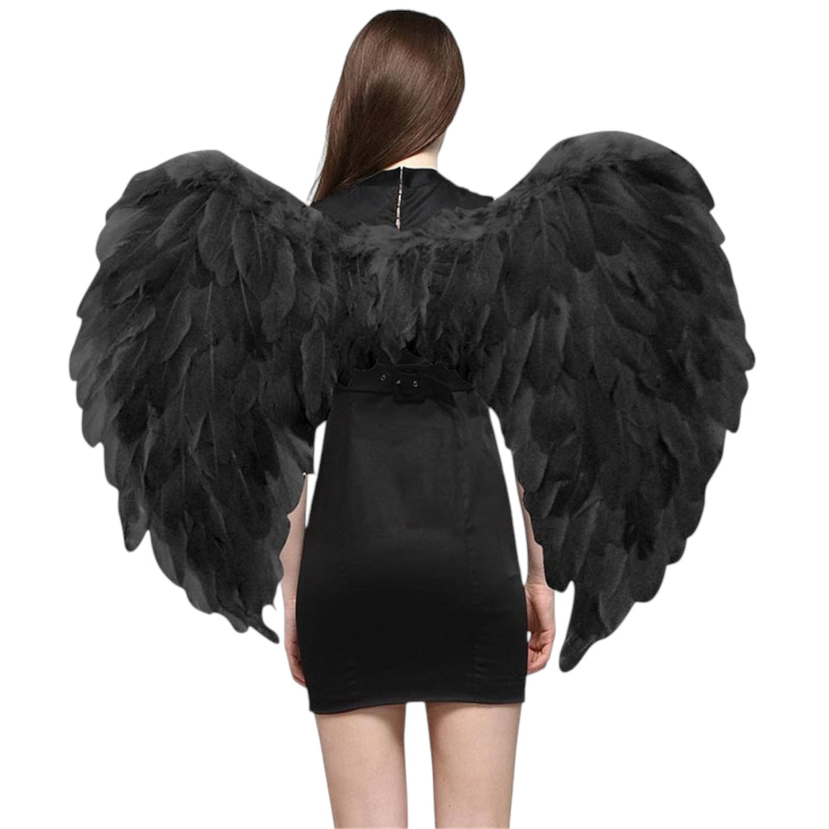 Black Feather Wings - Adult