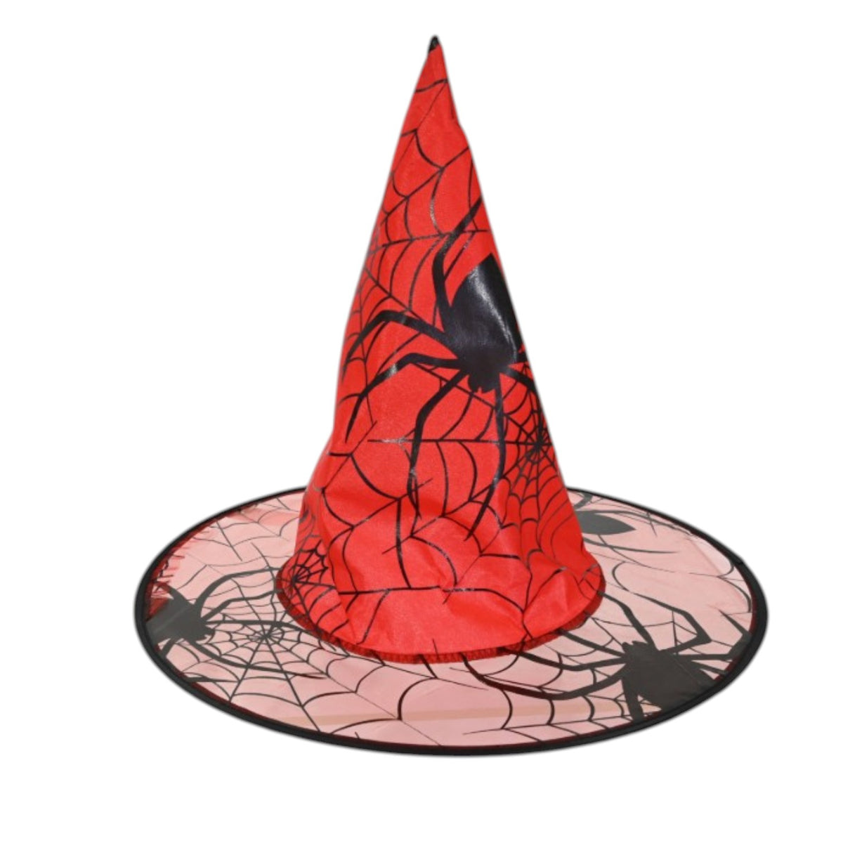 Spider Web Witch Hat - Assorted