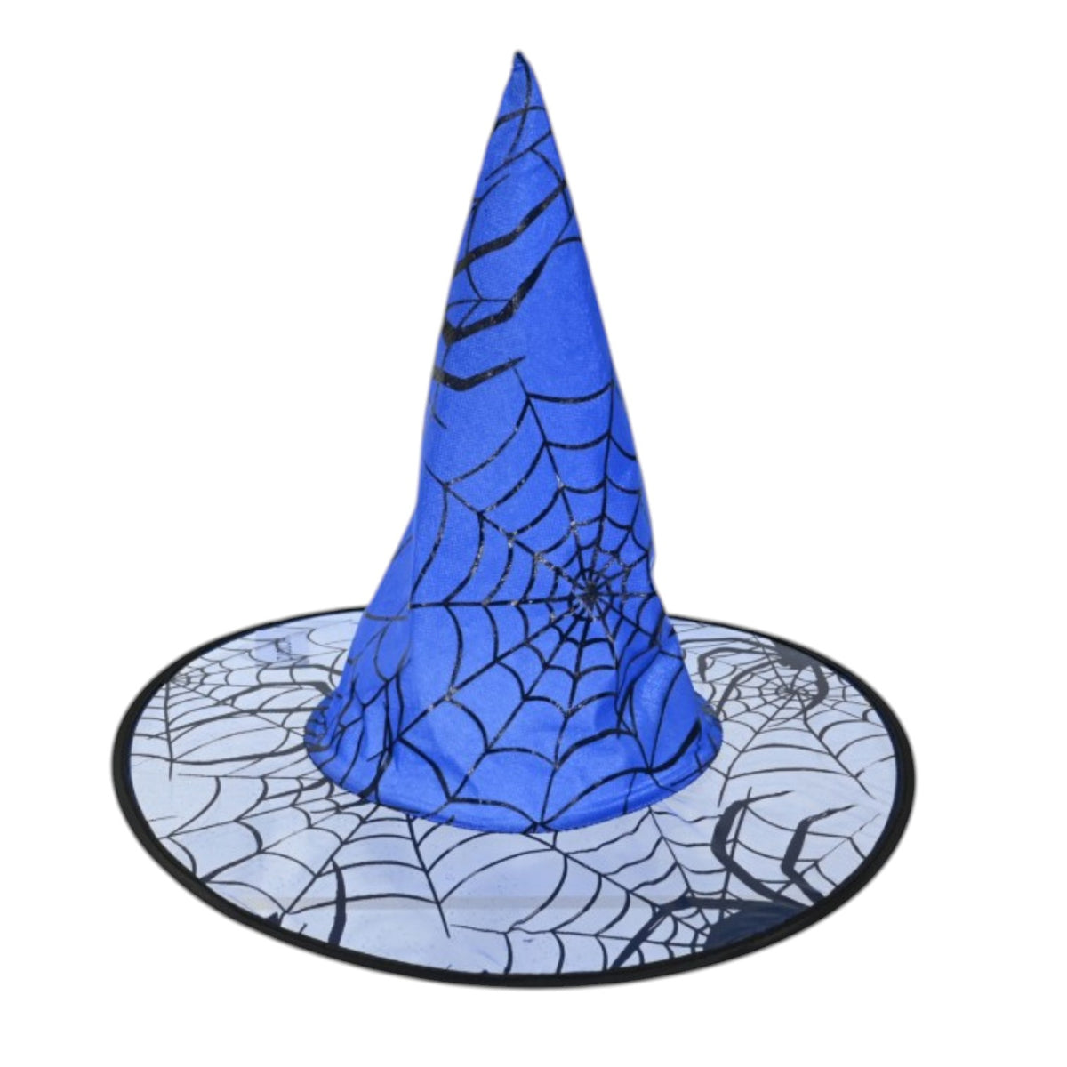 Spider Web Witch Hat - Assorted