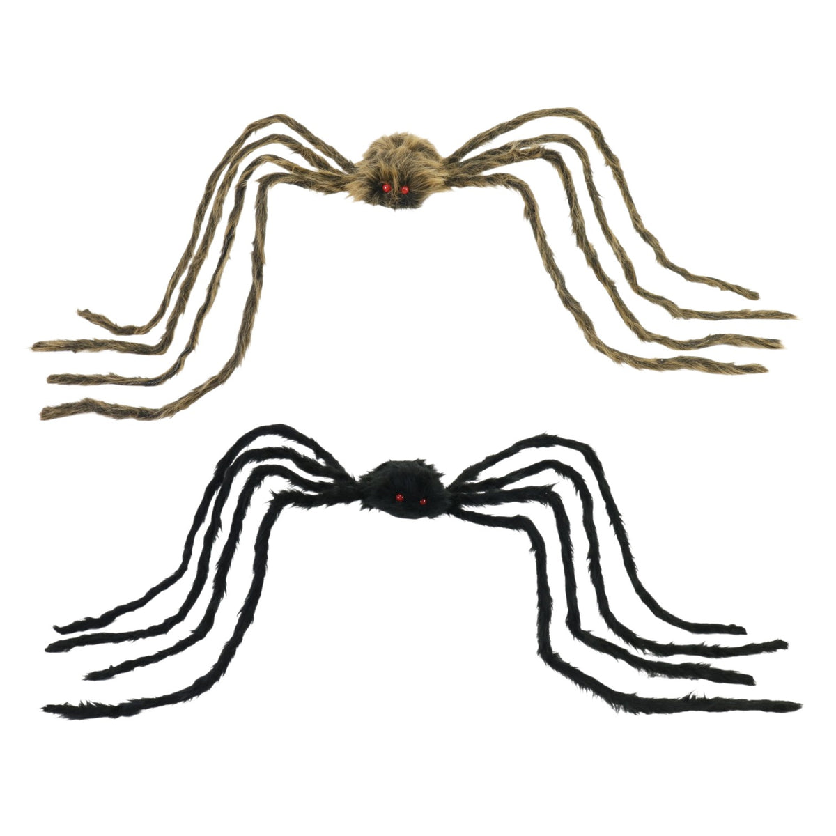 Daddy Long Legs Spider