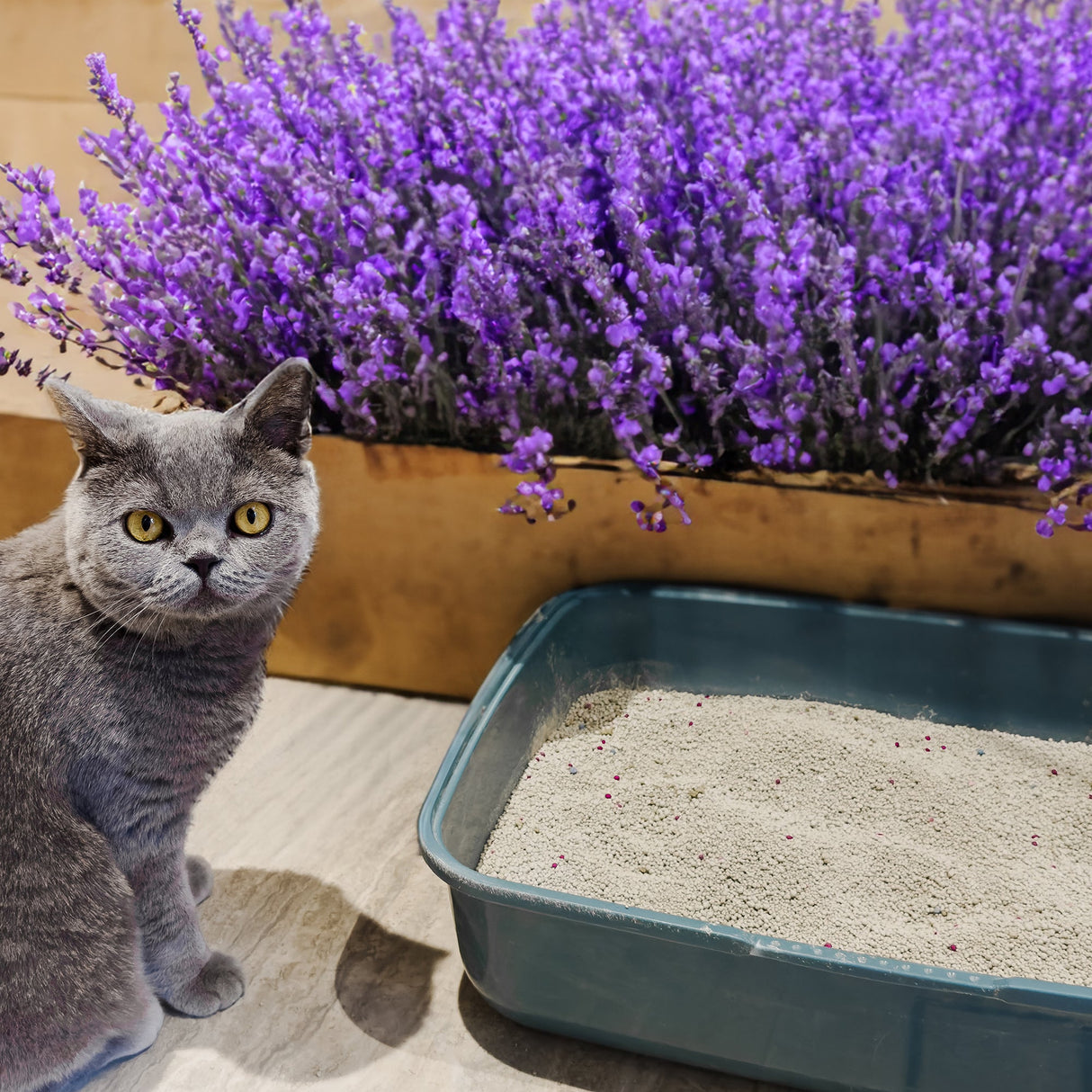POOWEE! Lavender Clumping Litter