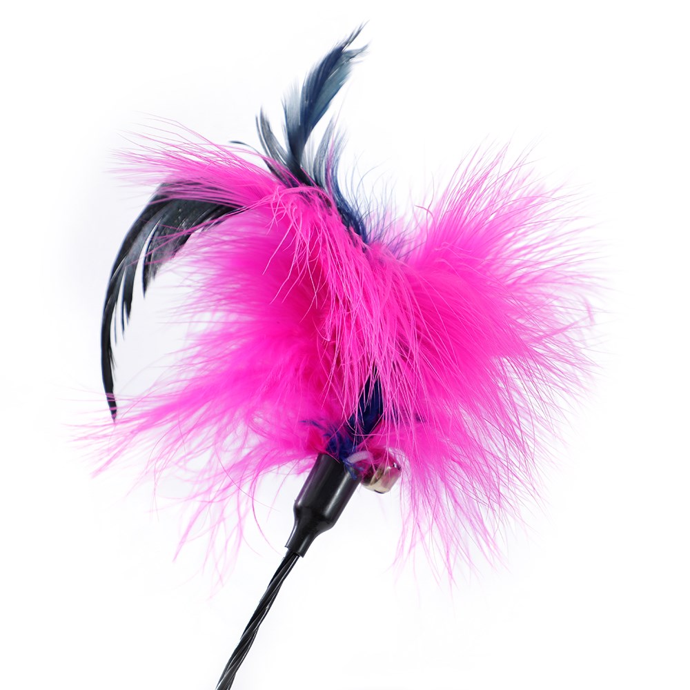 Pounce Springing Feather Cat Dangler 48cm - Assorted