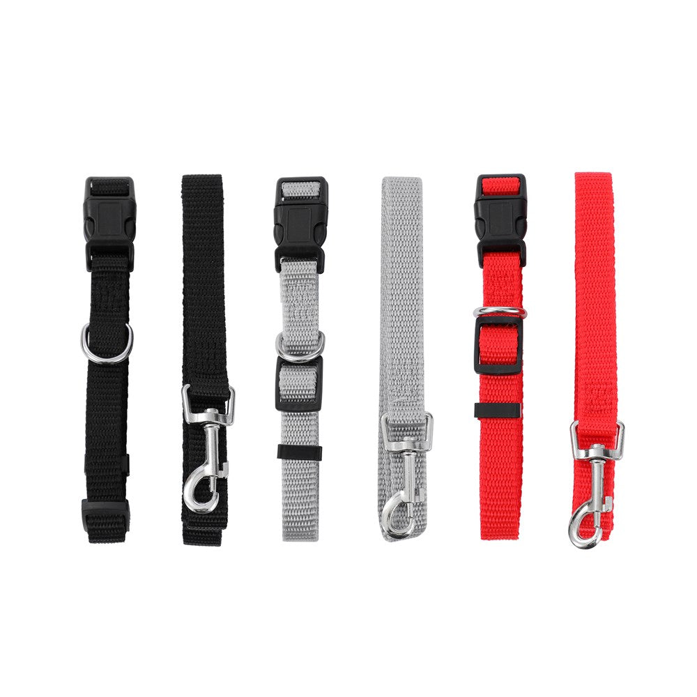 2 Piece Collar and Lead Set - Medium