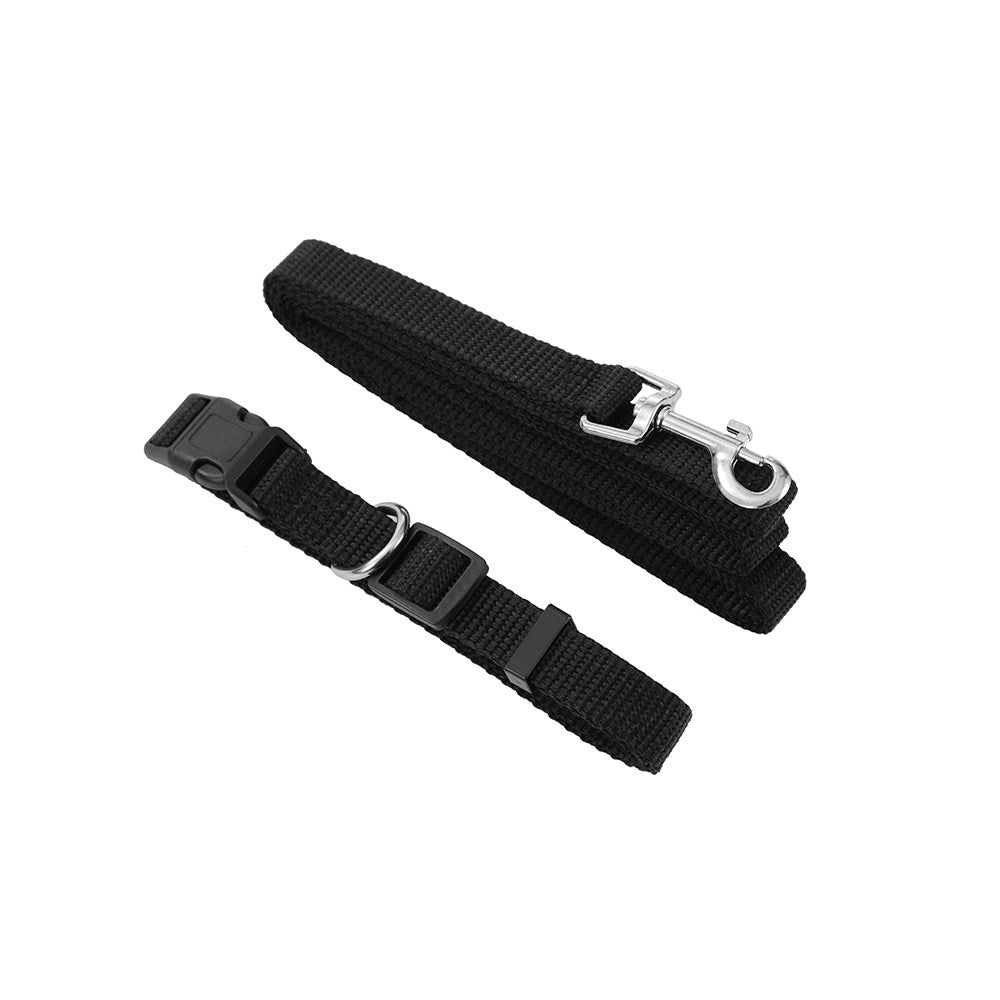 2 Piece Collar and Lead Set - Medium