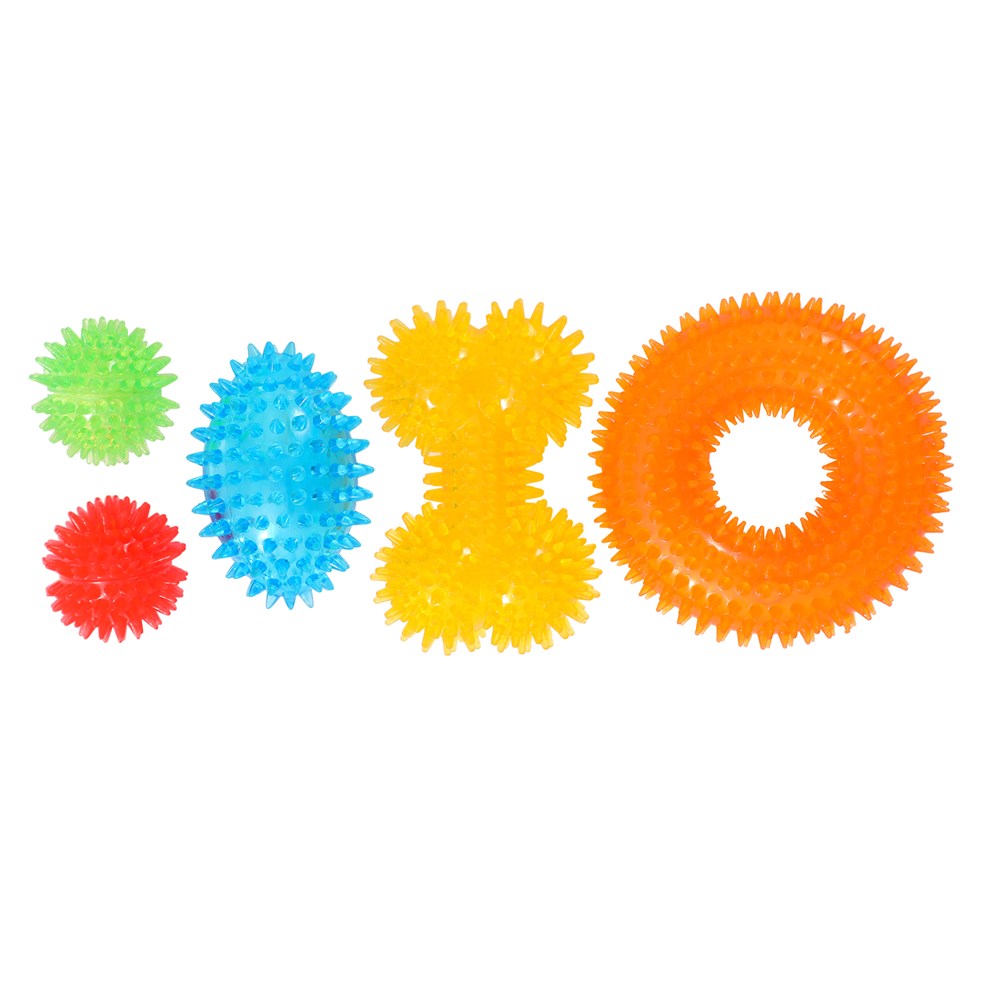 5 Pack Spikey TPR Squeaky Dog Toy Set