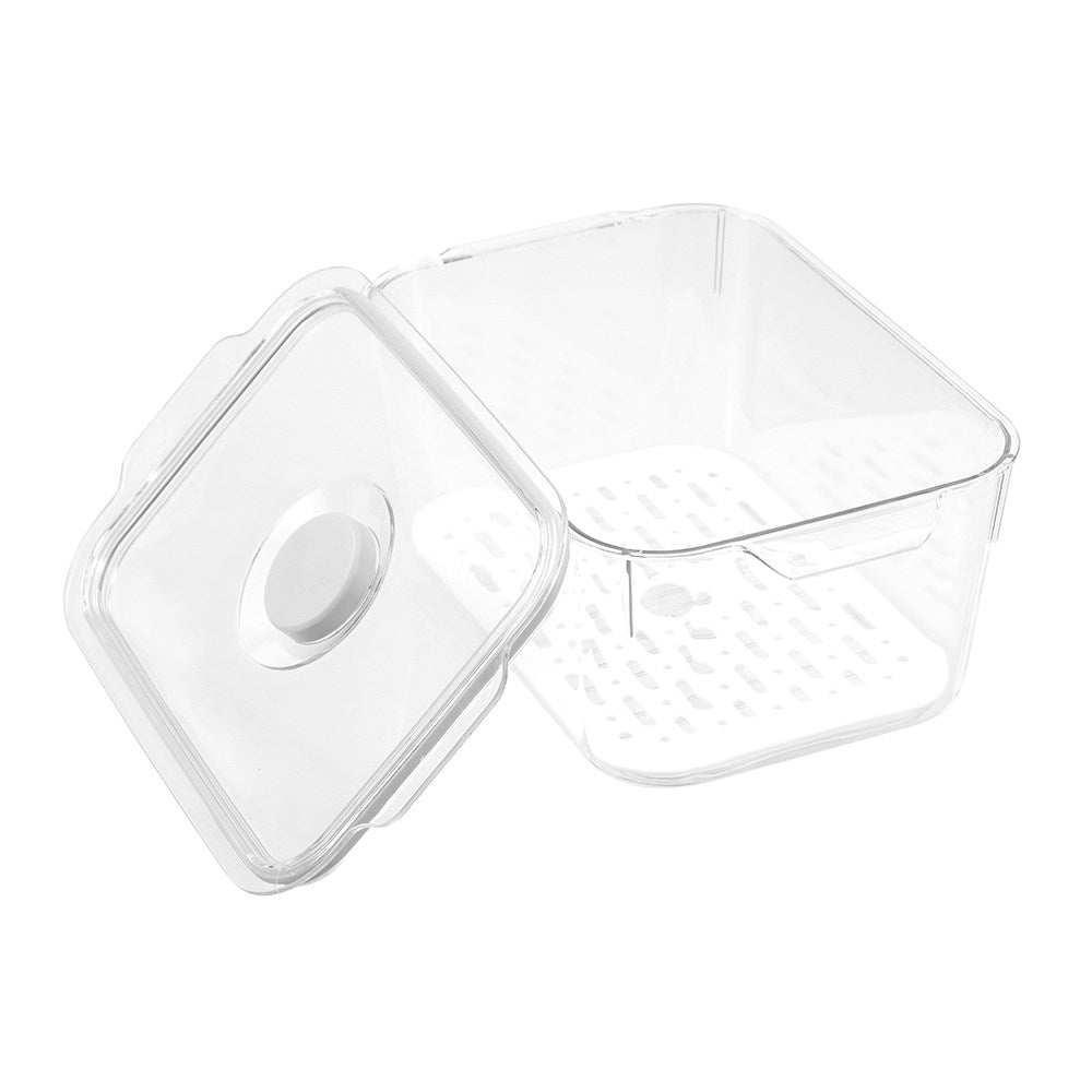 Green Saver Fresh Storer 2.4L