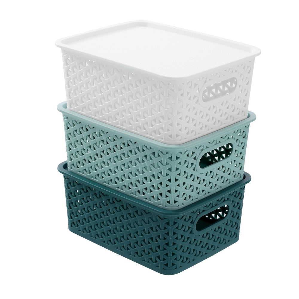 Lidded Wicker Basket 4L 25x19x10cm 3 Assorted
