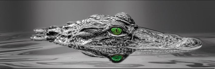 Alligator