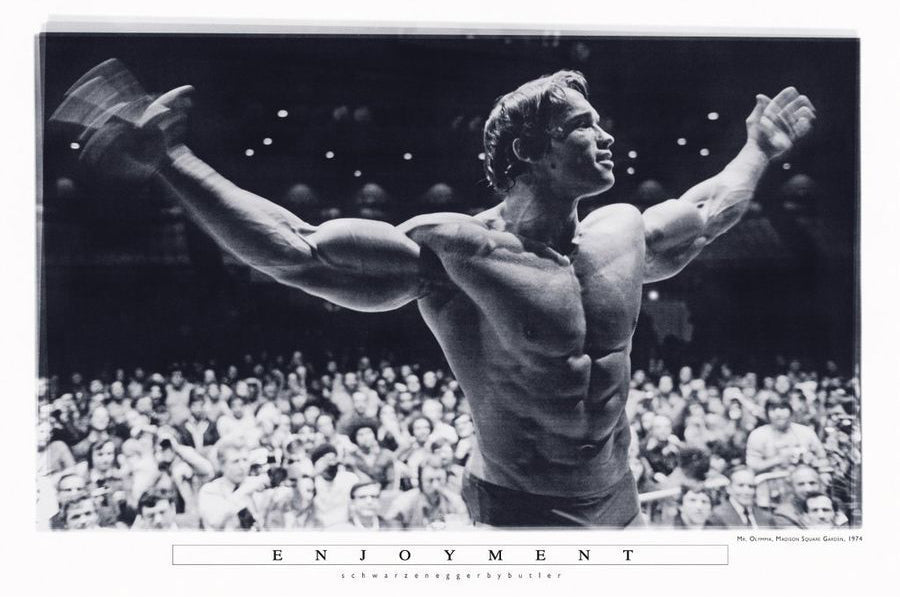 Arnold Schwarzenegger Poster Enjoyment