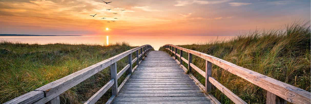 Boadwalk to the Beach