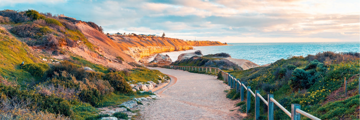 Port Willunga Beach access, SA 156cm x 60cm / Black