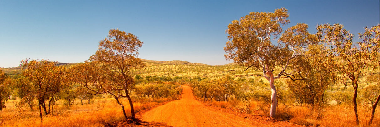 Remote Highway in Australian Bush