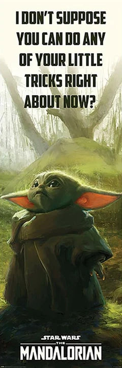 Star Wars The Mandalorian