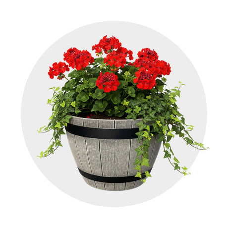 Pots and Planters