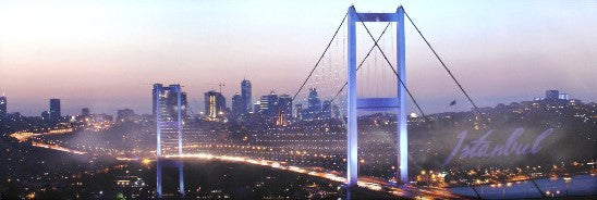 Istanbul Bridge