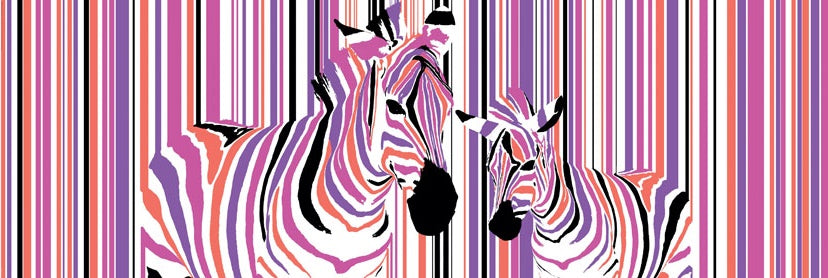 Zebra Stripes