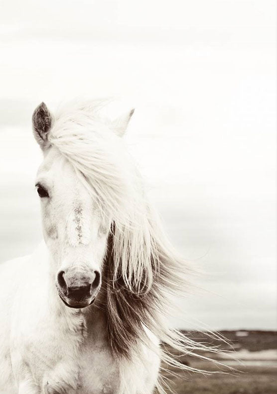 White Horse