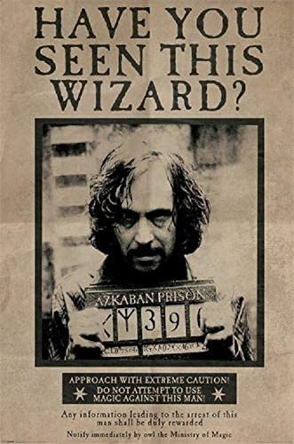 Sirius Black Harry Potter