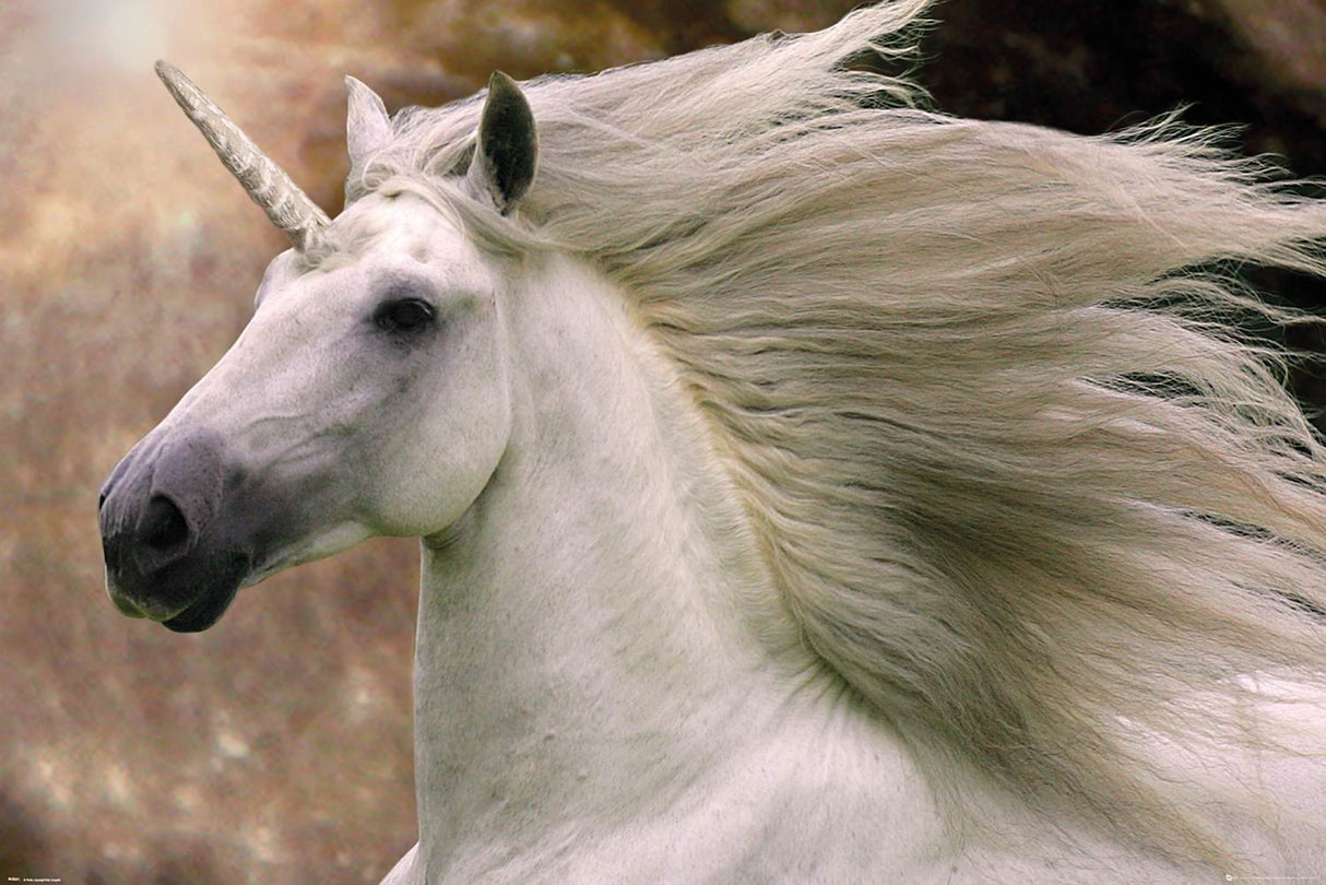 Bob Langrish Unicorn