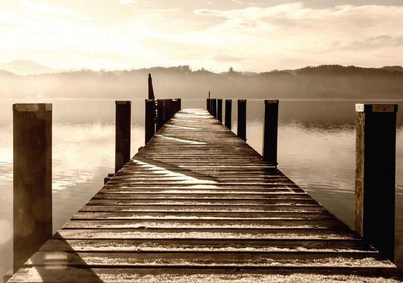 Dock View