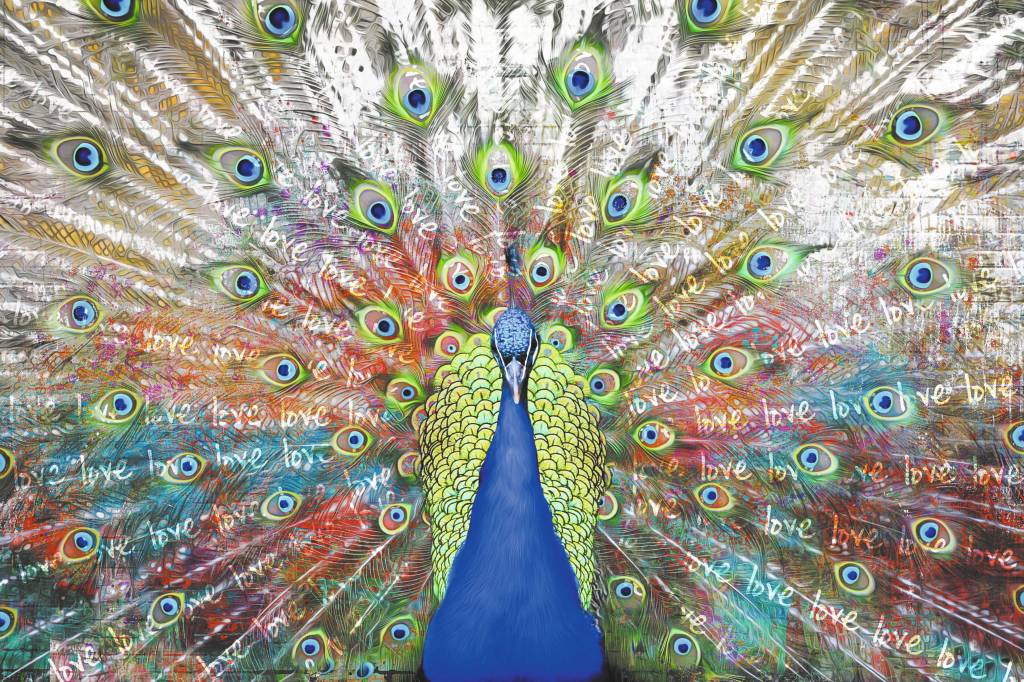Peacock