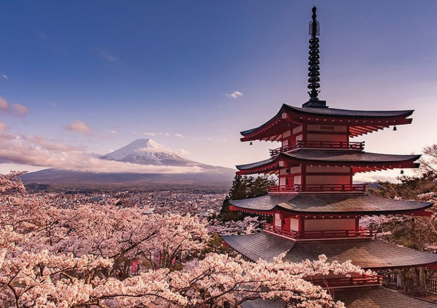 Mount Fiji Blossom