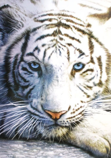 White Tiger
