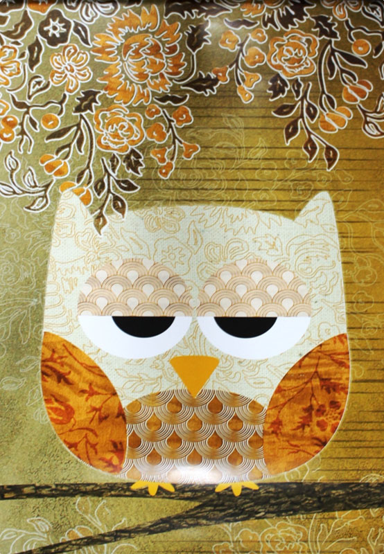 Sleepy Owl