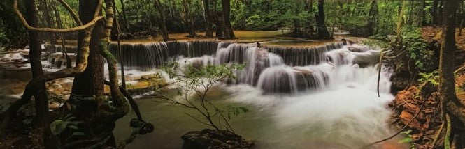 Forest Waterfall 1