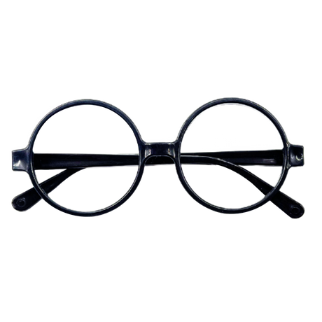 Wizard Costume Glasses