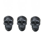 Skull Heads - 3 Pack - Assorted