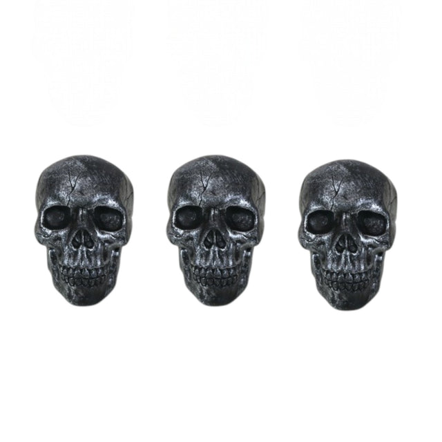 Skull Heads - 3 Pack - Assorted
