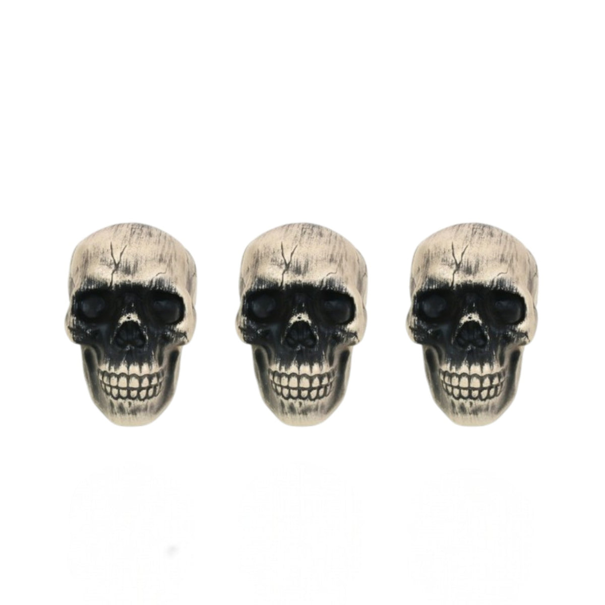 Skull Heads - 3 Pack - Assorted
