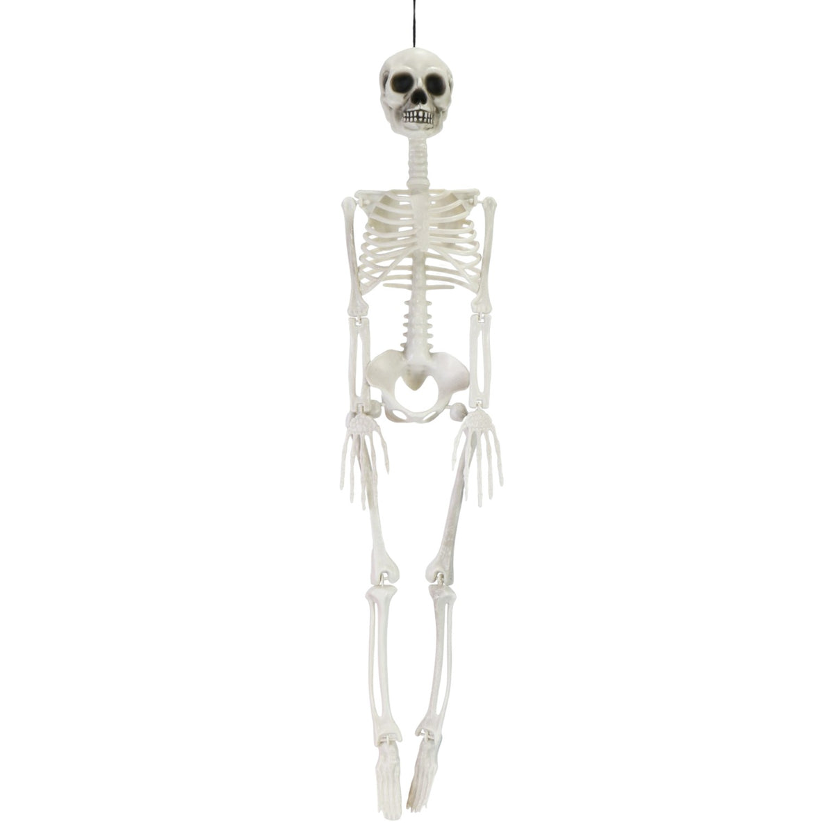 Poseable Skeleton