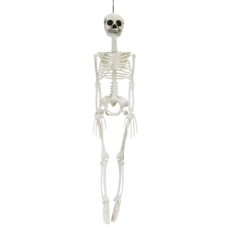 Poseable Skeleton