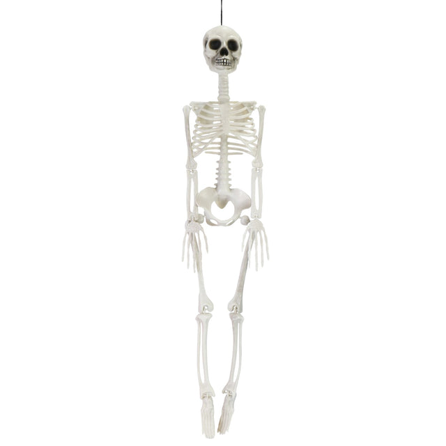 Poseable Skeleton