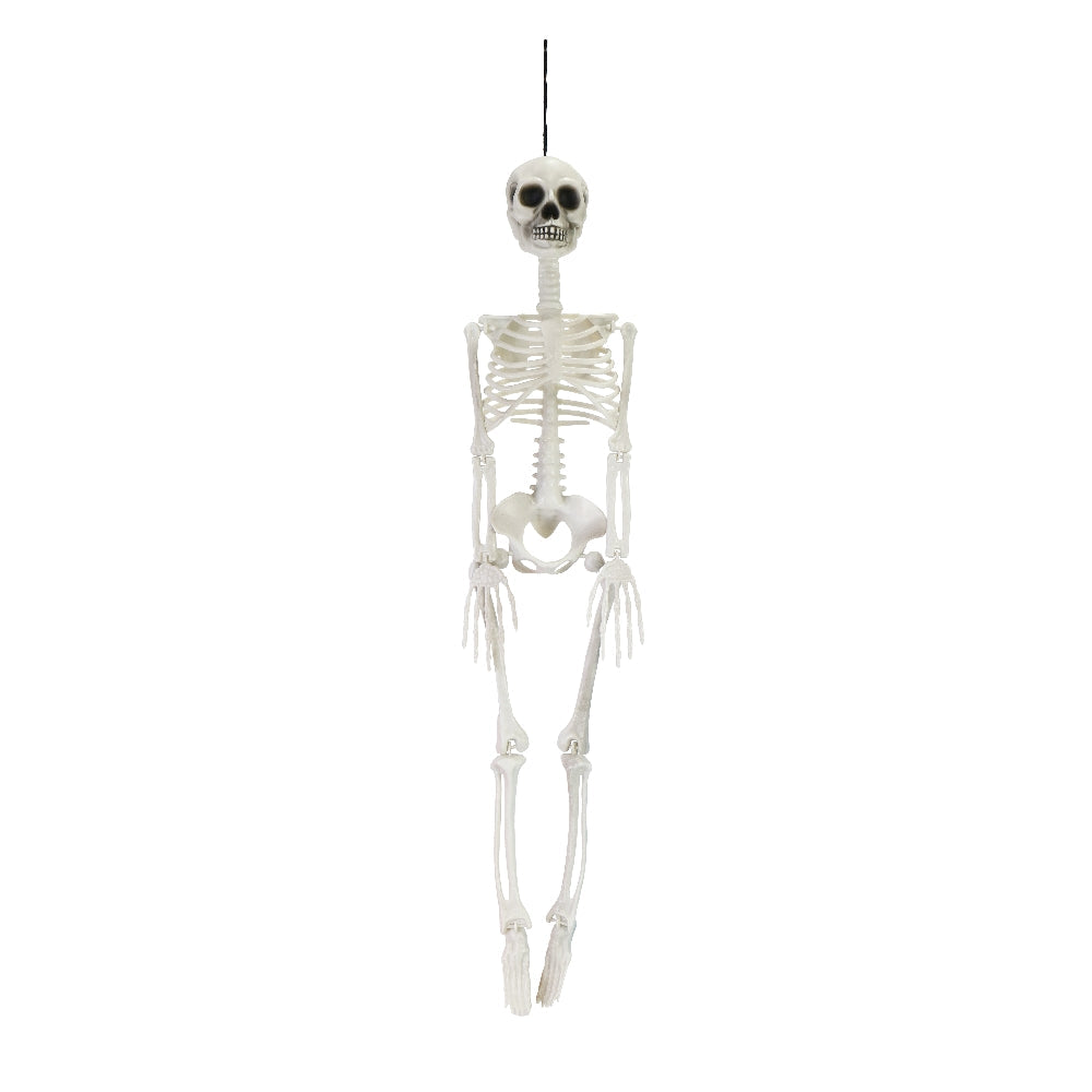 Poseable Skeleton